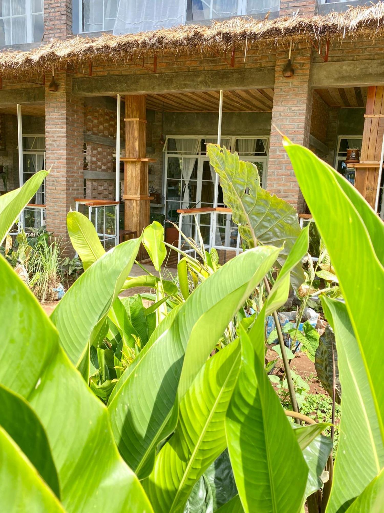 Mount Kilimanjaro 360 View Cottage Uru Екстер'єр фото