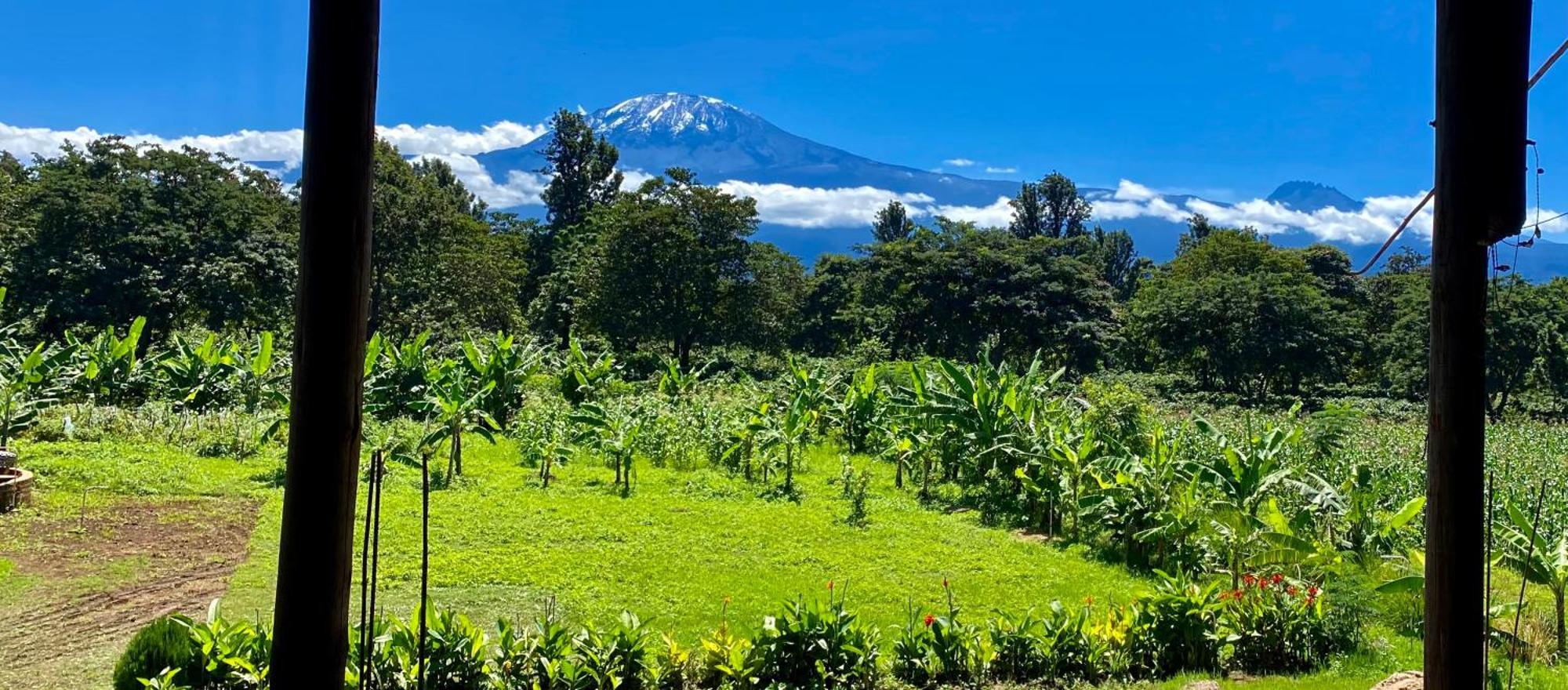 Mount Kilimanjaro 360 View Cottage Uru Екстер'єр фото
