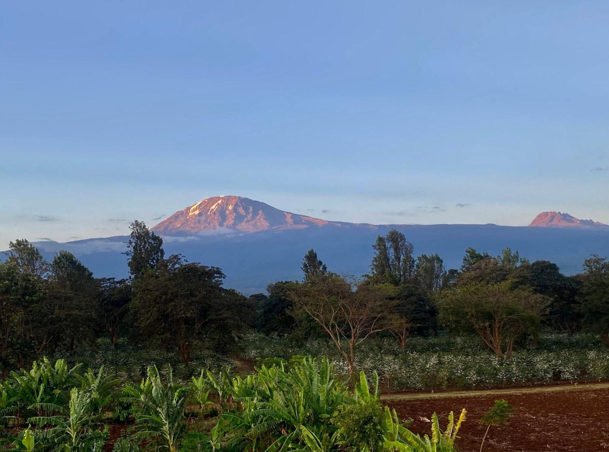 Mount Kilimanjaro 360 View Cottage Uru Екстер'єр фото